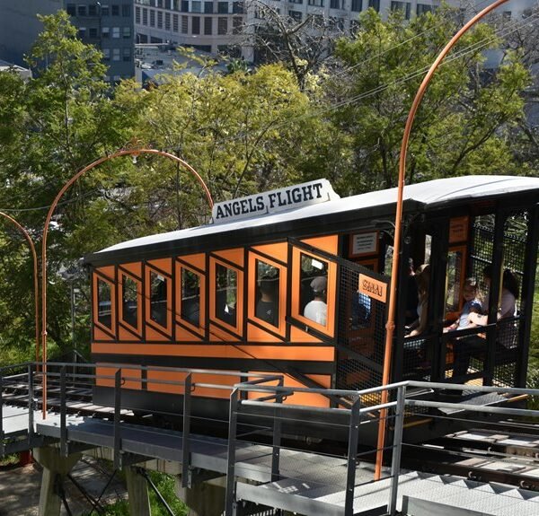 elevate online marketing platform