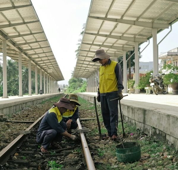 elevate online service platform