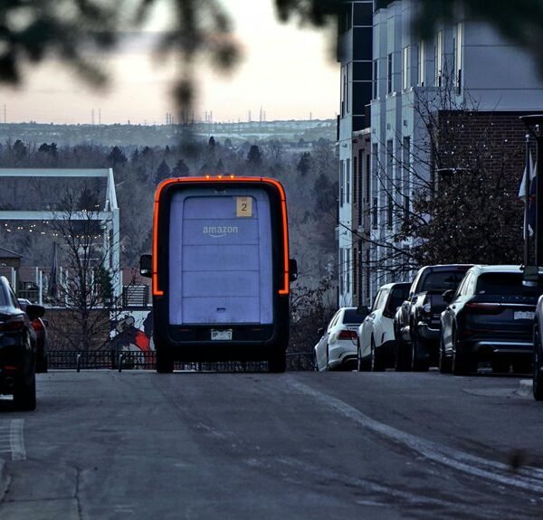 elevate your online business